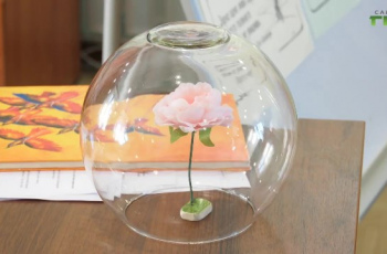 СМИБС в эфире